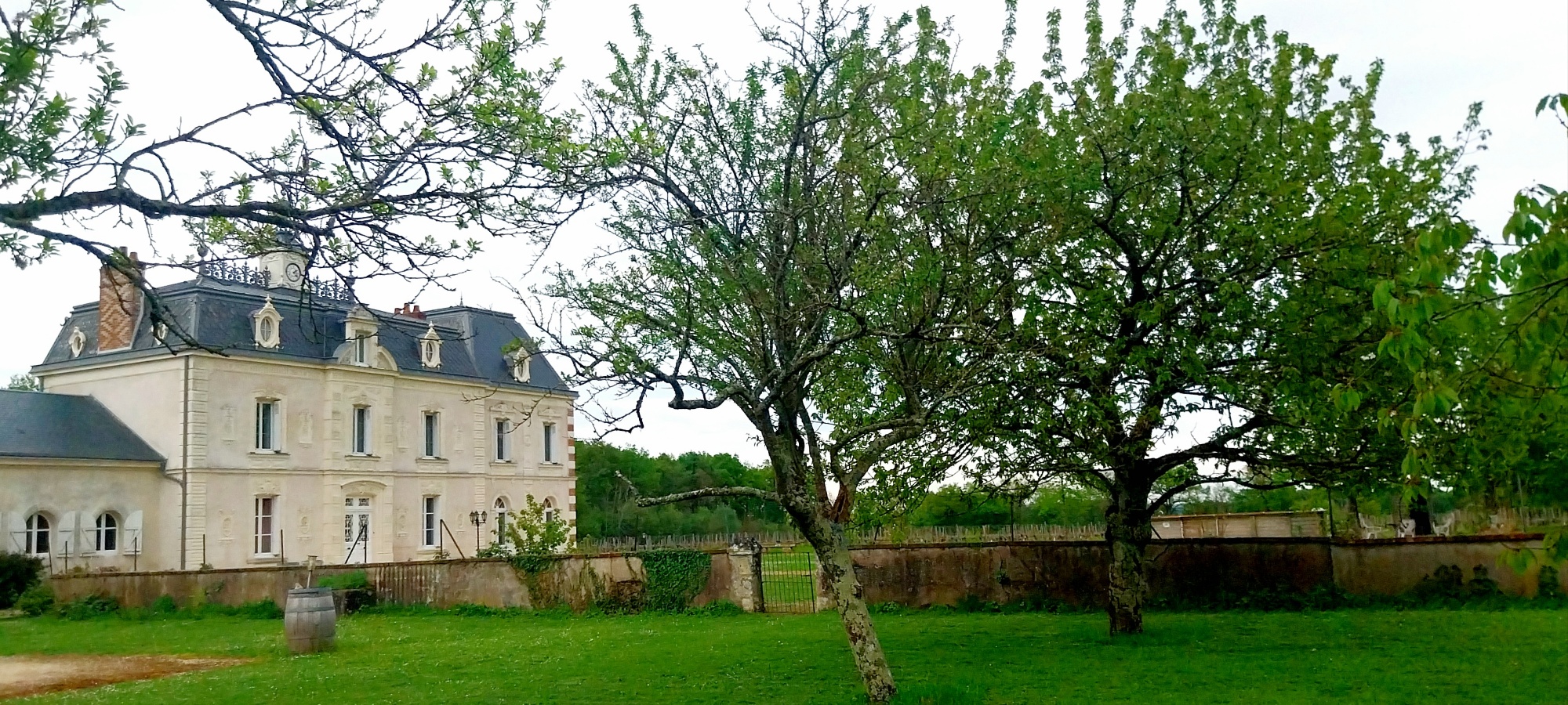 Château De l’Aulée – l’amico delle api
