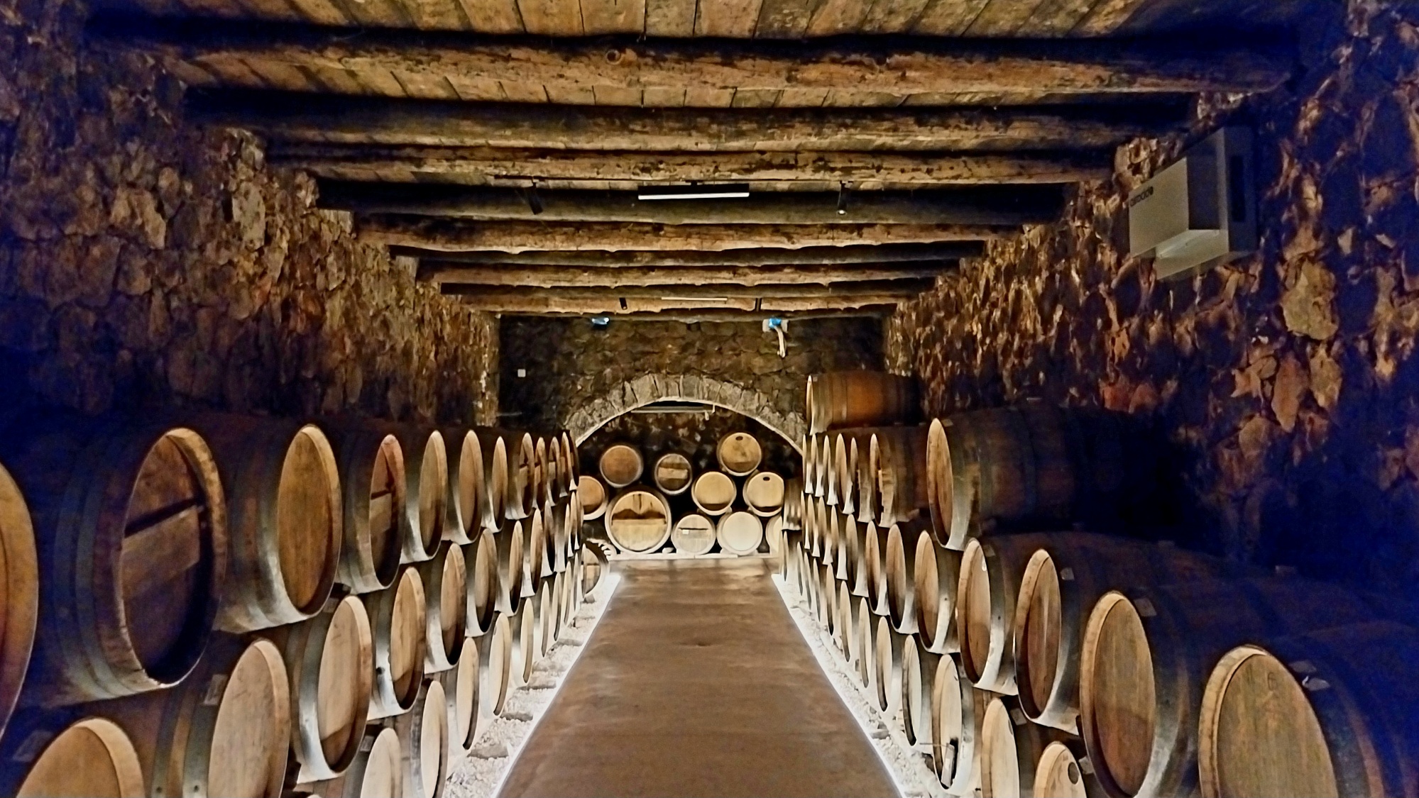 Tradizione, Rinascita e Scelte Esistenziali: il Vino di Creta