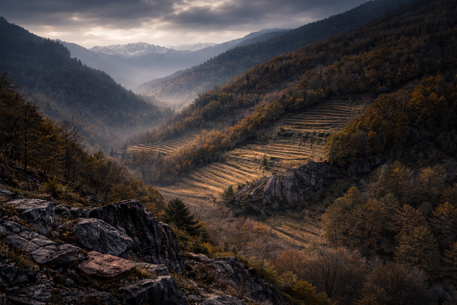 Boca. Nebbiolo su suolo vulcanico, lontano dal rumore