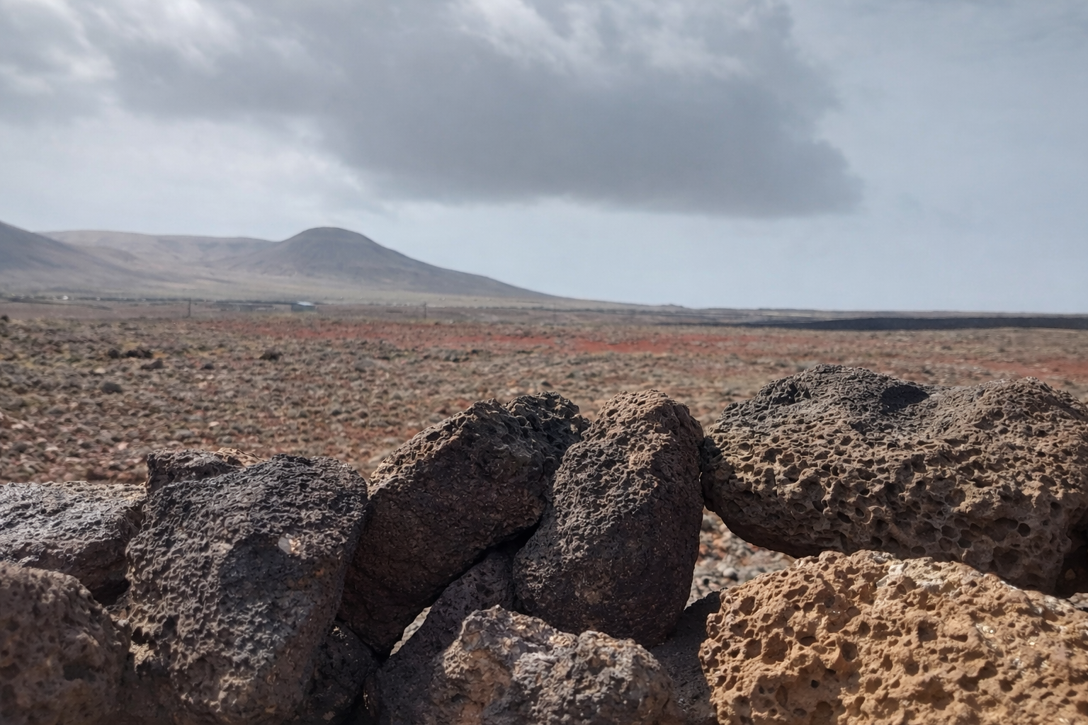 VIGNE DI FUERTEVENTURA: VITICOLTURA ESTREMA NELL’ATLANTICO